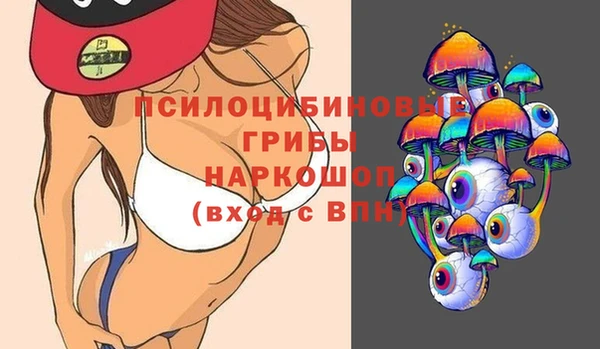 МДПВ Алзамай
